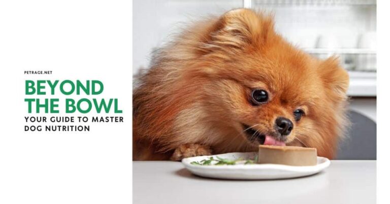 beyond the bowl mastering your dog's nutrition for a longer, livelier life petrage