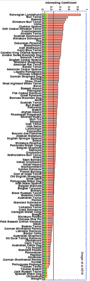 exploring the 15 most inbred dog breeds coi chart