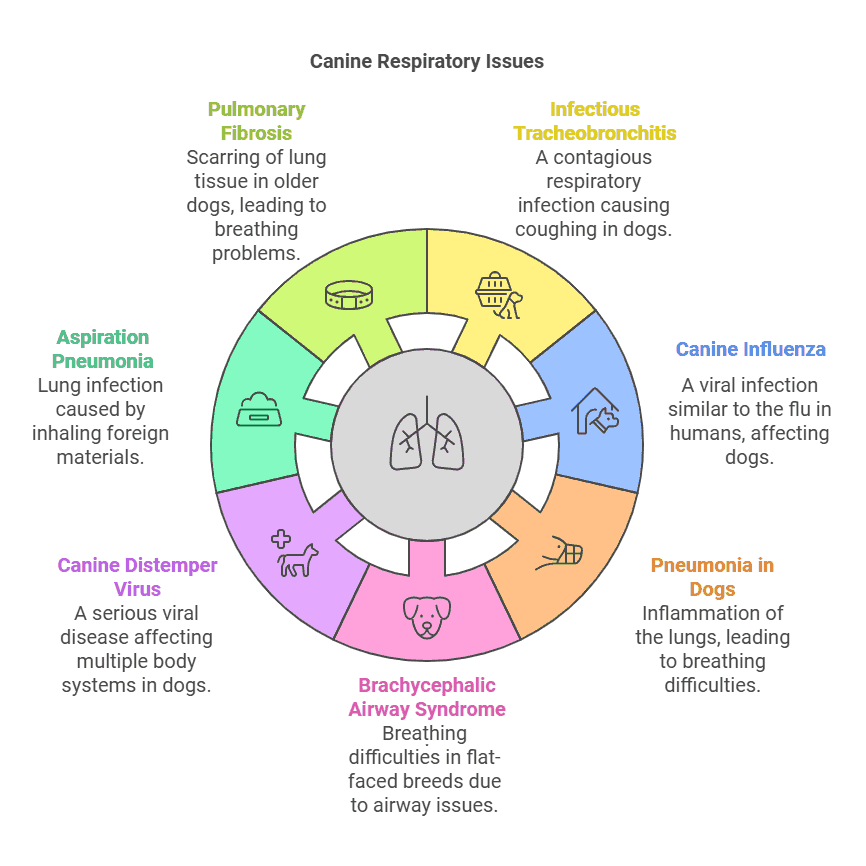 7 major canine respiratory issues visual selection