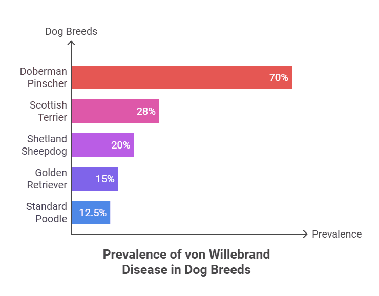top 5 dog breeds affected by von willebrand disease visual selection