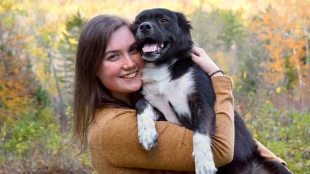 why is my dog shaking topper (2)