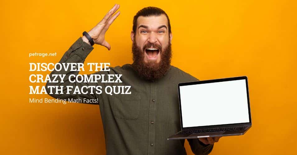 discover the crazy complex math facts quiz petrage