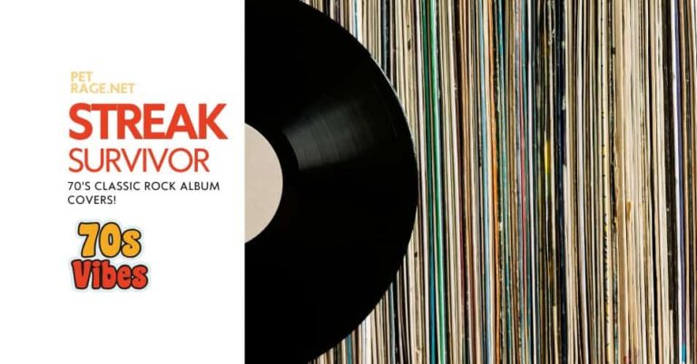 streak survivor 70s rock album covers edition  petrage