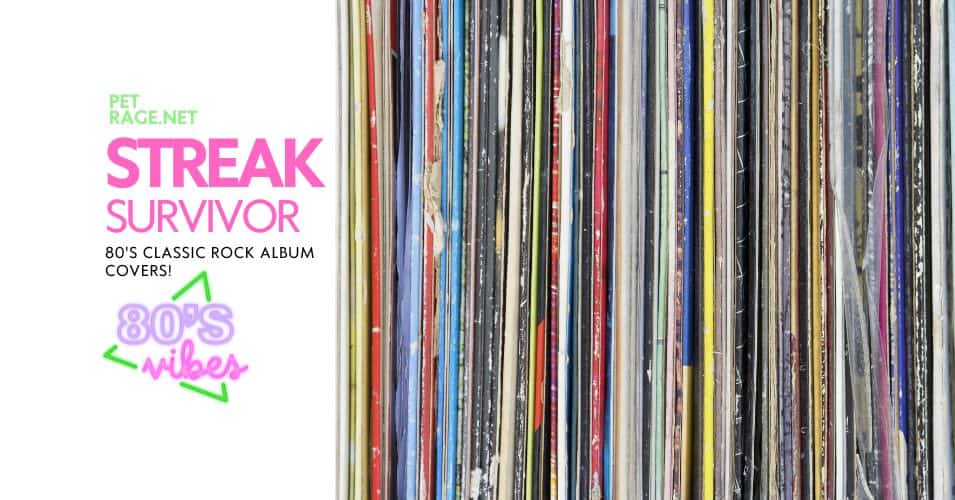 streak survivor 80s rock album covers edition petrage