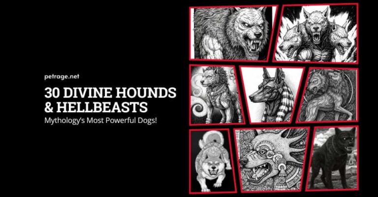 30 divine hounds & hellbeasts mythology’s most powerful dogs petrage