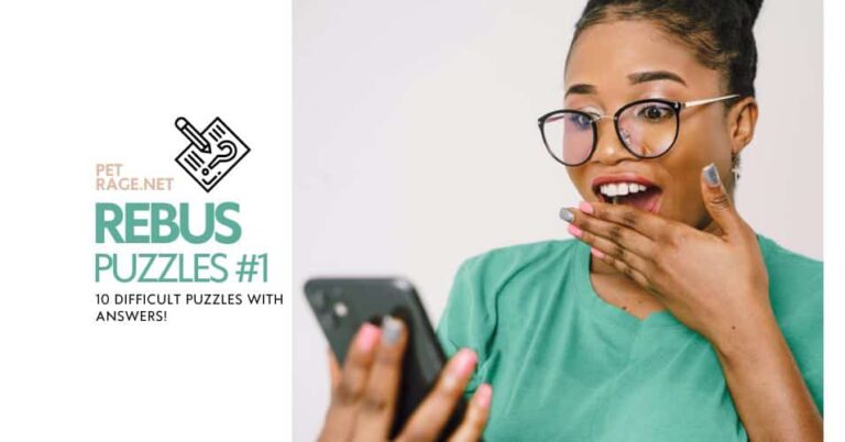 rebus puzzle quiz part 1 10 difficult puzzles petrage