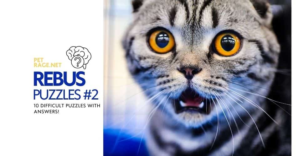 rebus puzzle quiz part 2 10 difficult puzzles petrage