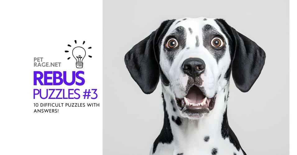 rebus puzzle quiz part 3 10 difficult puzzles petrage