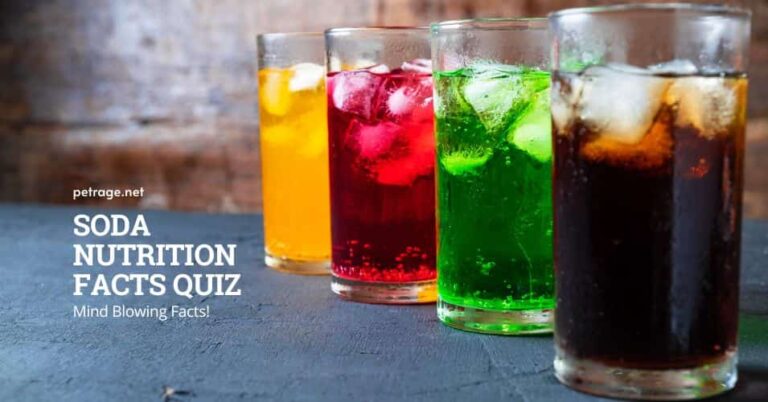 soda nutrition facts quiz soft drink facts petrage