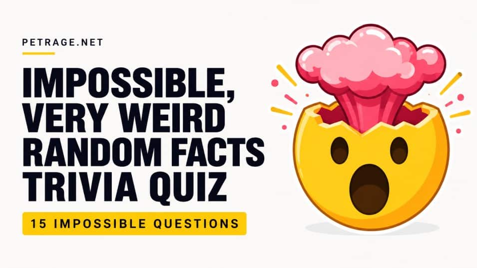 impossible very weird random facts trivia quiz petrage