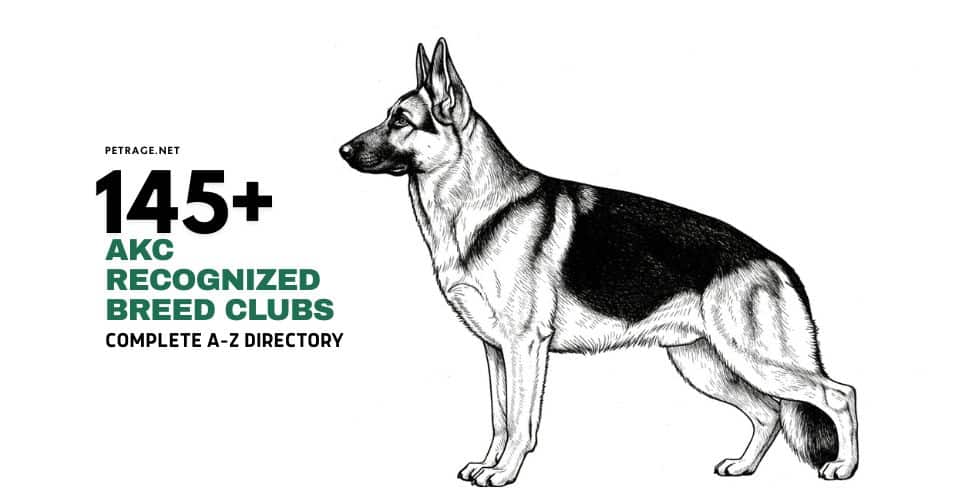 145+ akc recognized breed clubs complete a–z directory petrage