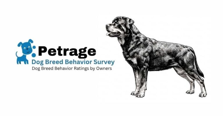 petrage dog breed behavior survey petrage