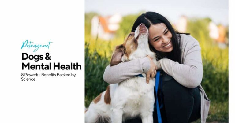8 science backed ways dogs boost mental health petrage