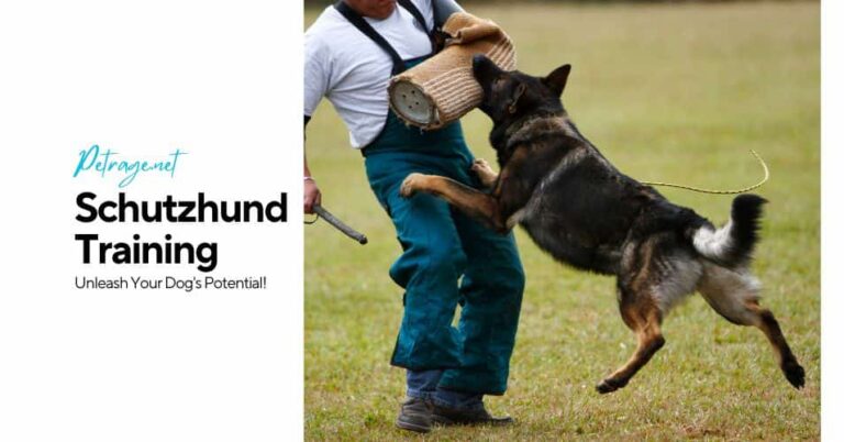 nlocking the world of schutzhund a guide to the ultimate canine sport petrage