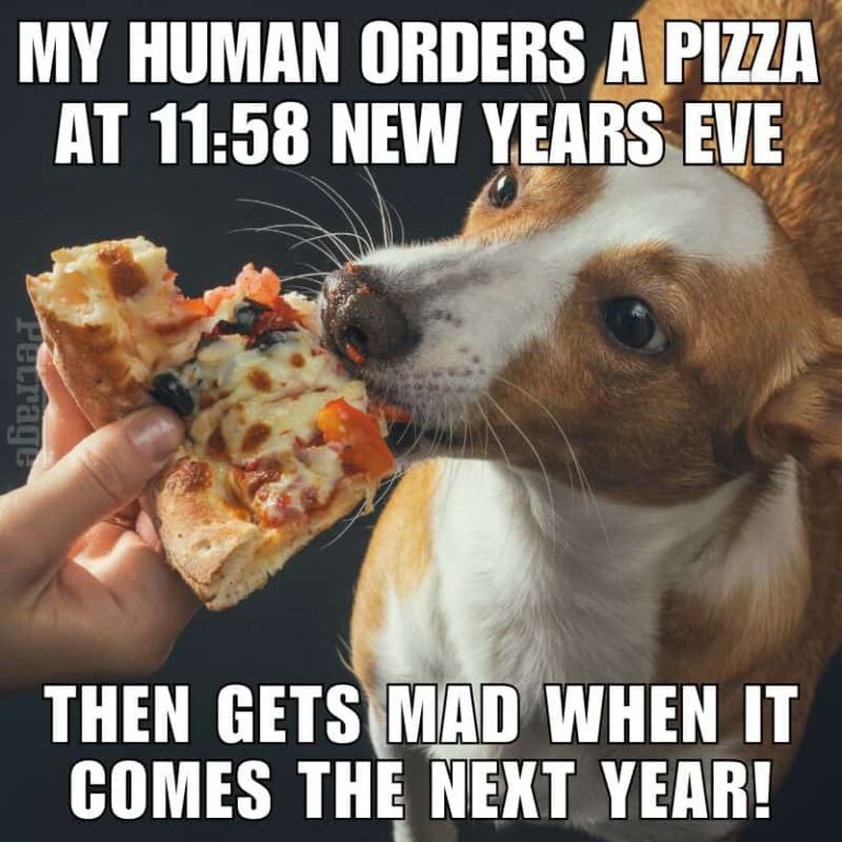 new years eve pizza meme petrage