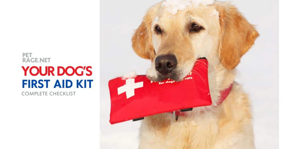 dog first aid kit complete checklist petrage