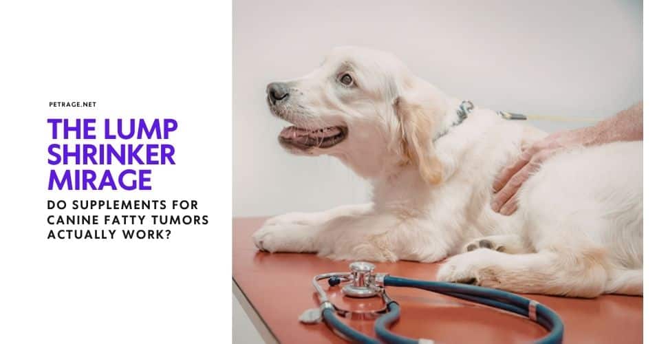 the lump shrinker mirage do supplements for canine fatty tumors actually work petrage