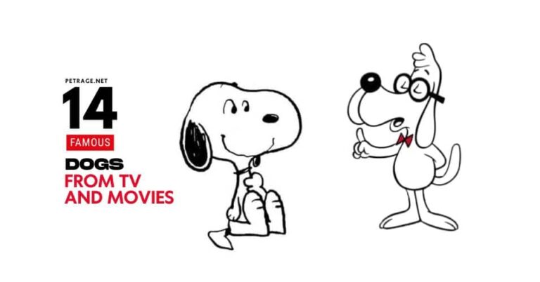 14 famous cartoon dogs you’ll never forget petrage