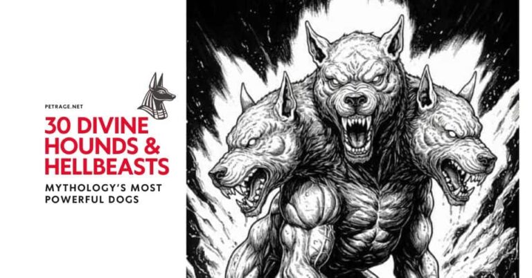 30 divine hounds & hellbeasts mythology’s most powerful dogs petrage