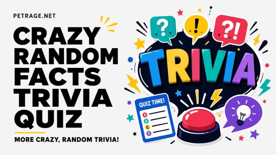 obscure trivia challenge can you guess these bizarre fact