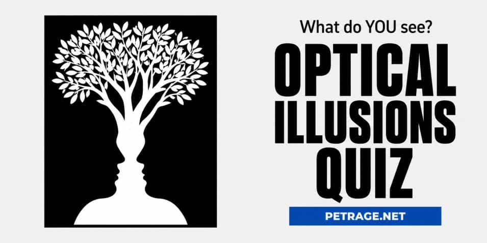 12 optical illusions that trick your brain petrage quiz