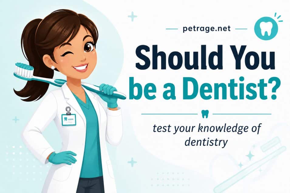 should you be a dentist fun dental trivia quiz petrage