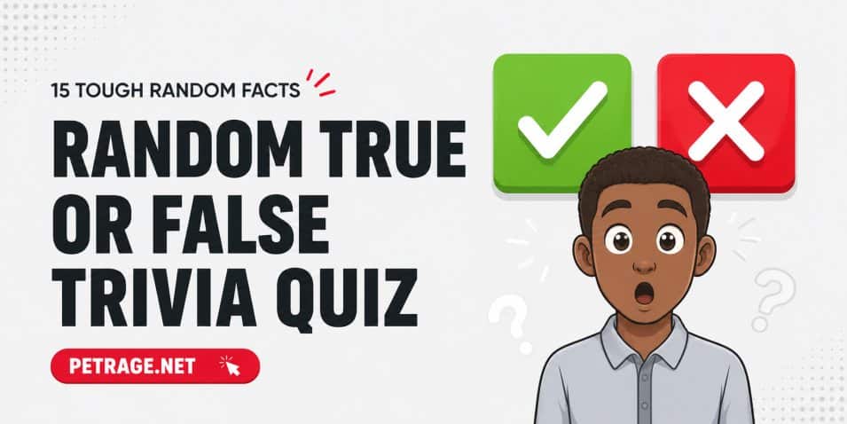 true or false trivia 15 random facts to test your brain petrage