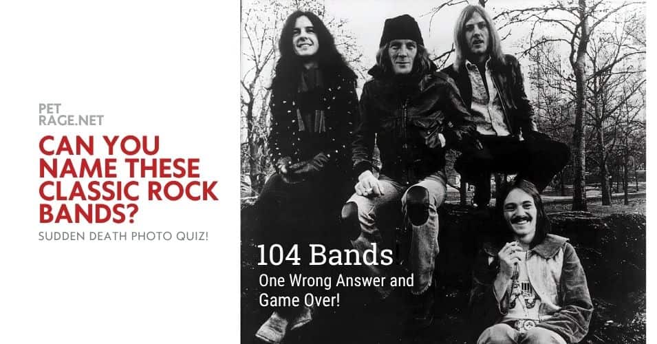 can you name these classic rock bands sudden death photo quiz petrage