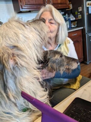 yukie and laney the irish wolfhounds