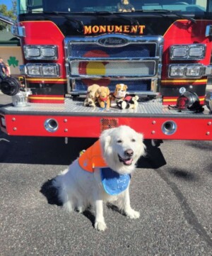 great pyrenees firetruck time by noname