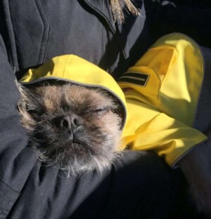 Screenshot screenshot