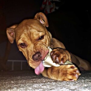 hey my names jake (11)