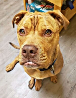 hey my names jake (12)