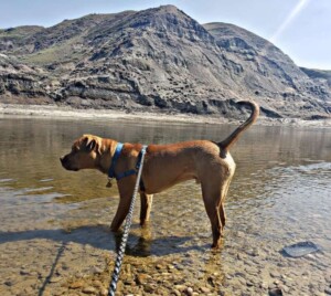 hey my names jake (13)