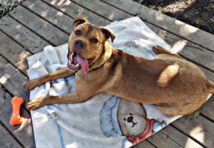 hey my names jake (14)