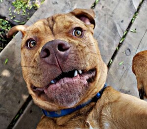 hey my names jake (15)