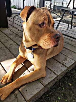 hey my names jake (16)