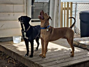 hey my names jake (17)