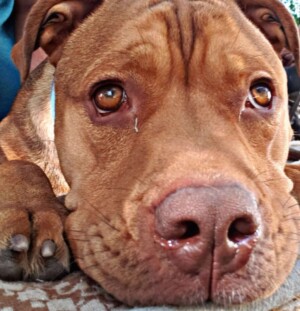 hey my names jake (18)