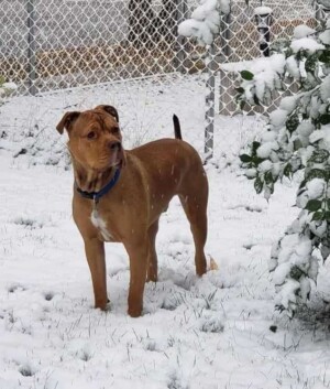 hey my names jake (21)