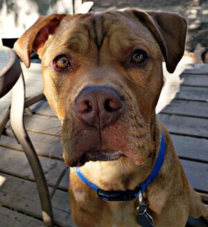 hey my names jake (6)