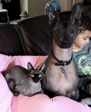 my xolo and friend by katie