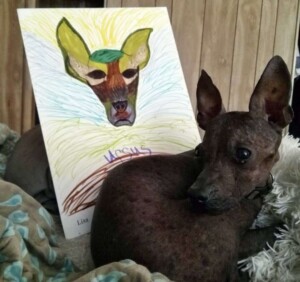 ursus the xolo by lisa c