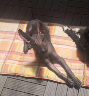 xolo smile in the sunshine by bia s