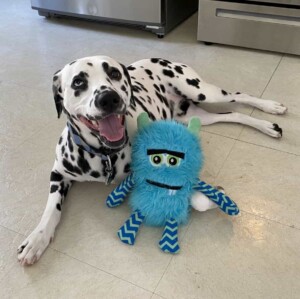 toby the dalmatian by maiky m v (3)