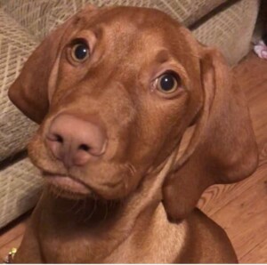 Screenshot screenshot