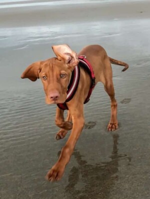 Screenshot screenshot