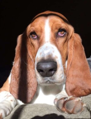 Screenshot screenshot