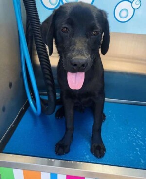 fcr bath time by alysha d