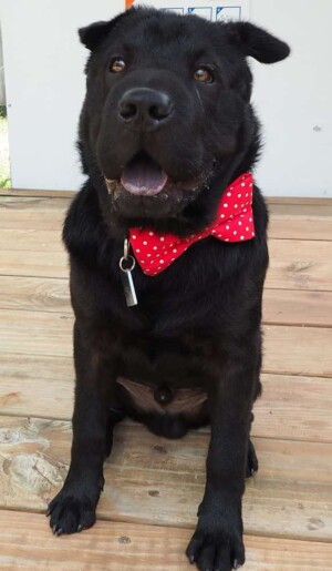 OLYMPUS DIGITAL CAMERA olympus digital camera